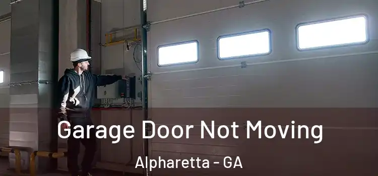  Garage Door Not Moving Alpharetta - GA