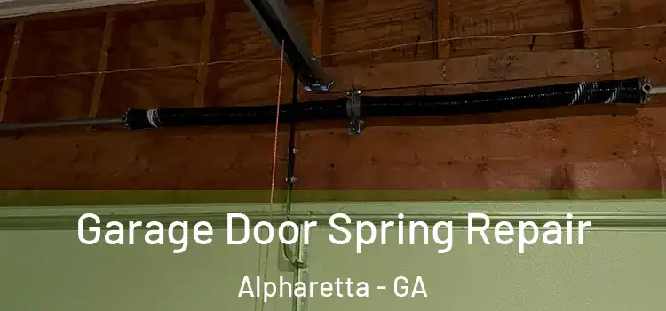  Garage Door Spring Repair Alpharetta - GA
