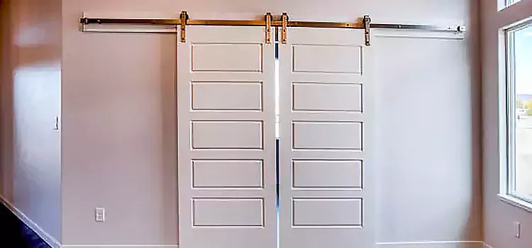 Glass Barn Door with Installation Hardware Kit Alpharetta