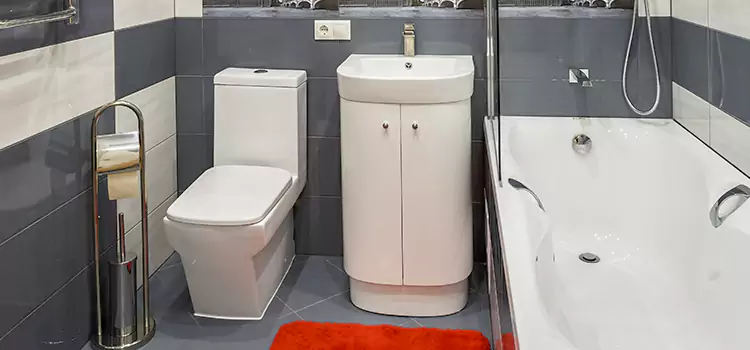 Hansgrohe Shaving Mirror Alpharetta
